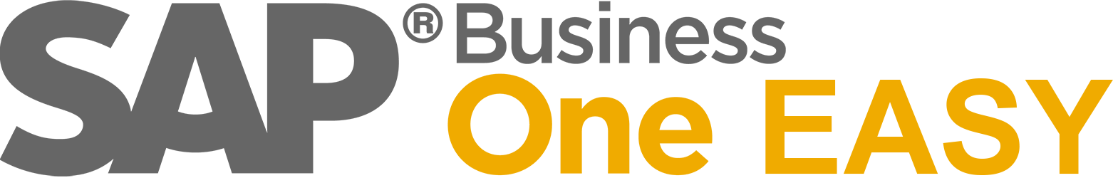 SAP Business One EASY